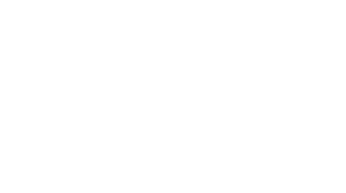 Vocalignment Consulting: Strategy / Alignment / Results